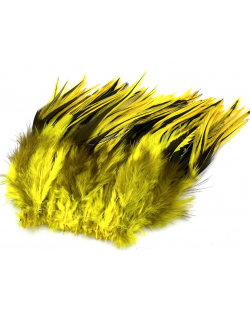 BADGER SADDLE HACKLE YELLOW